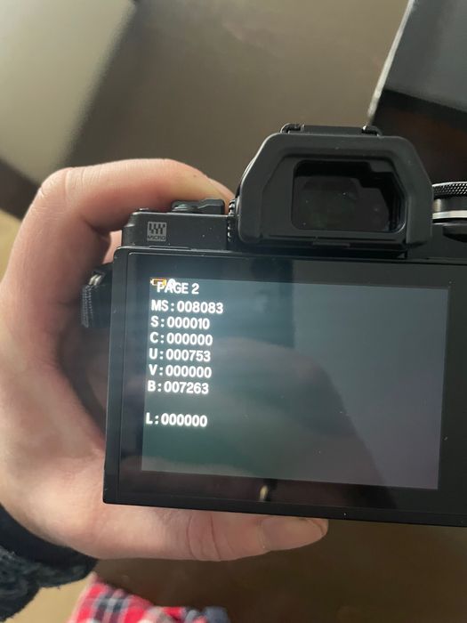 Olympus E-M10 Mark IV + Panasonic G 25mm f/1.7 IDEAŁ