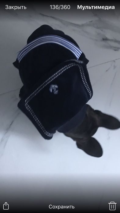 Одежда для щенка