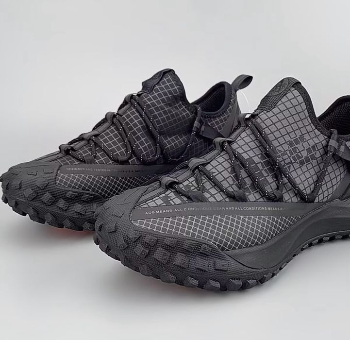 Кросівки Nike ACG Mountain Fly Low