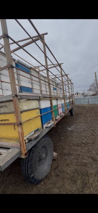 Бджоловіз. Пчелопавильйон. Прицеп для перевозки пчёл.