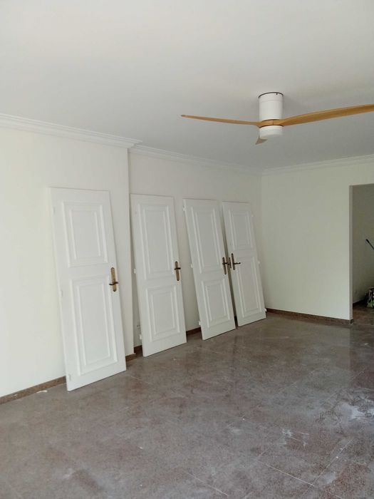 Sou pintor profissional