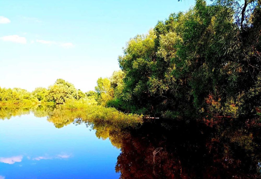 TO Хата у стародавньому селі Виблі