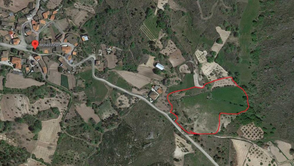 Terreno com 1,6h e viabilidade de construção apoio agricola