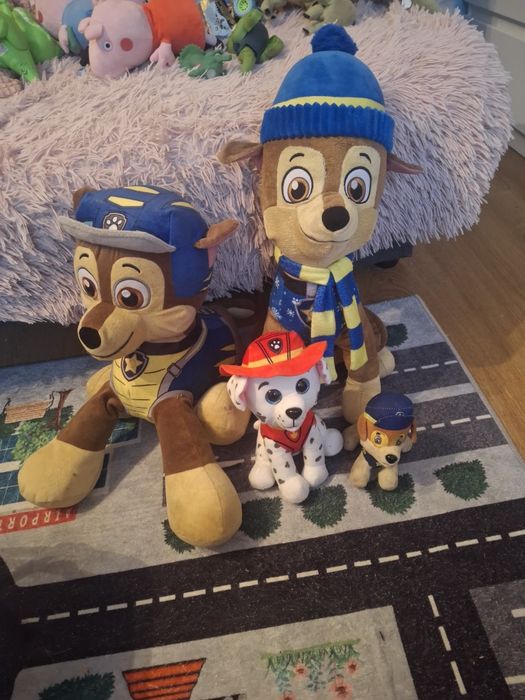 Pluszaki plus samochody