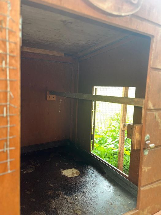 Galinheiro em bom estado