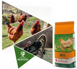 Rações milhos frangos coelhos porcos cabras poedeiras 5 e 25kg