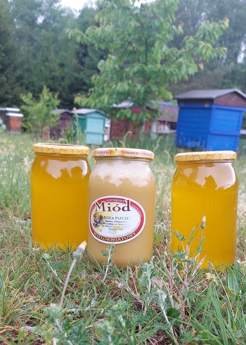 Sprzedam miód z własnej pasieki zapraszam