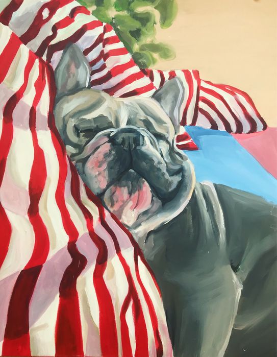 Obraz akrylowy buldog francuski pies 100x80 80x100 cm