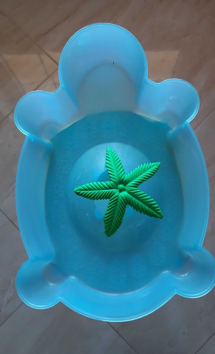 Aquário para tartarugas