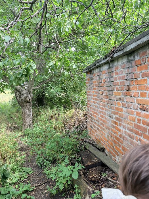 Будинок в джунглях Піщаного.