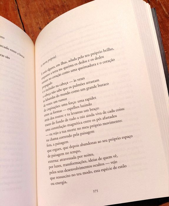 Herberto Helder -poesia