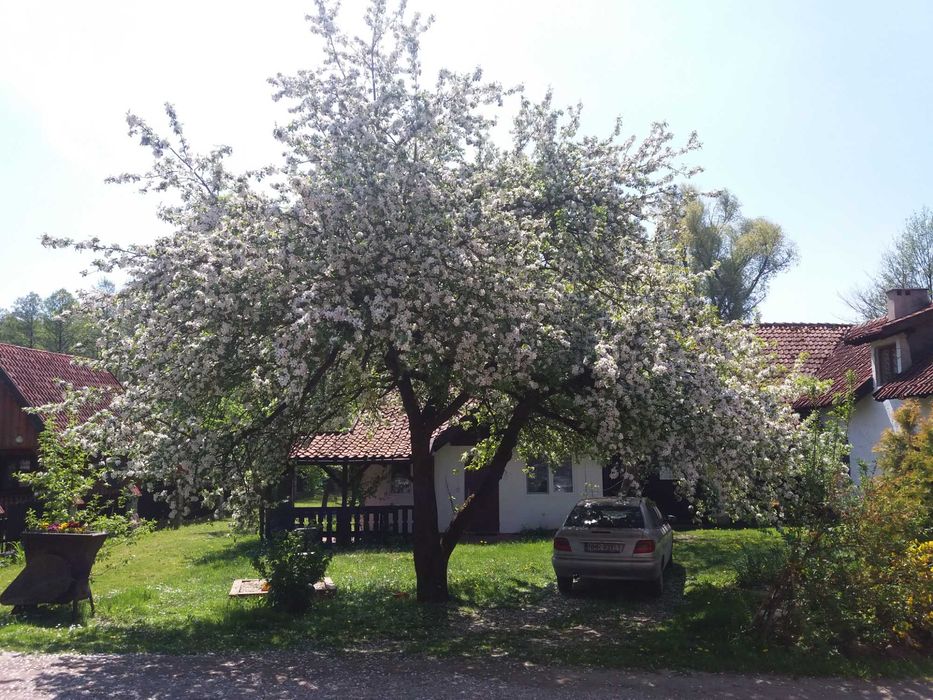 Agroturystyka Mazury nad samym jeziorem, Domki  w Bałowie