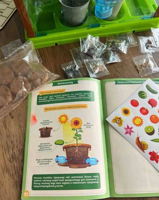 дитяча теплиця тепличка з поливом ботанічні експерименти