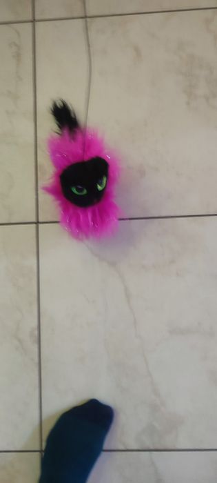 Maskotka kotek do prowadzenia