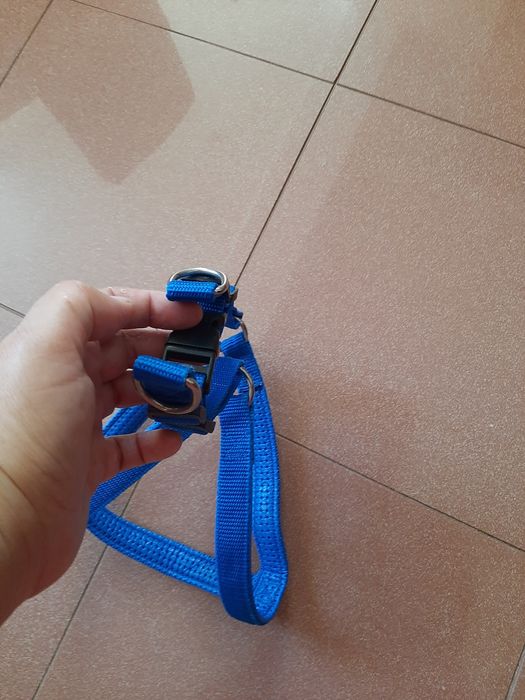 Peitoral Azul Cão Porte Médio