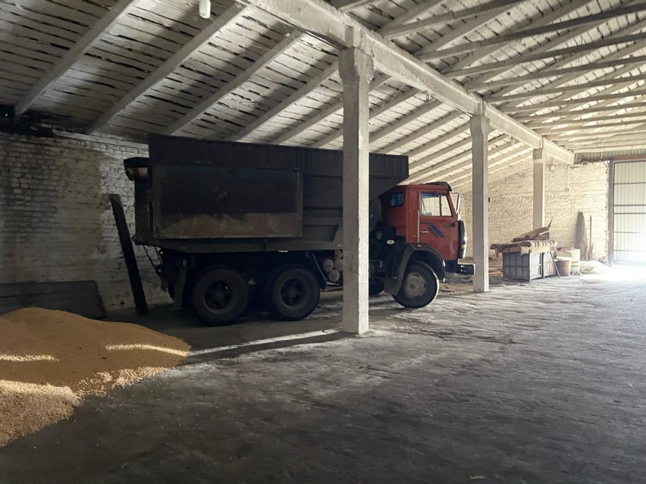 ‼️Продам Ангар, Зерносховище, Склад, с Липовець, Обухівський, Кагарлик