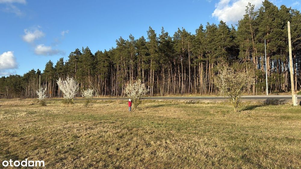 Działka Łąka WARUNKI ZABUDOWY 1250m2, 10 min od Wolina