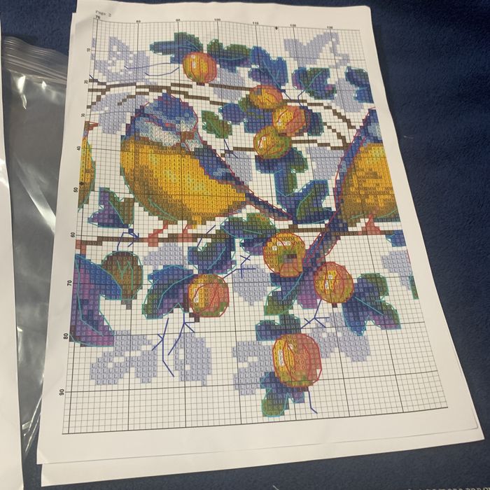 Набор для вышивки крестиком Сине желтые птицы