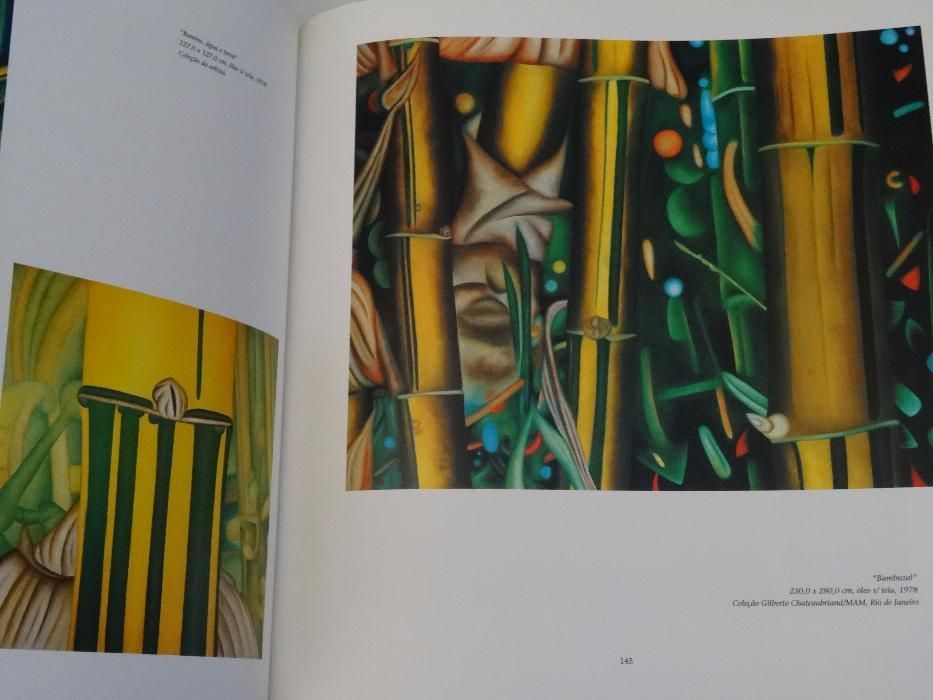 Obra Em Processo Antonio Henrique Amaral