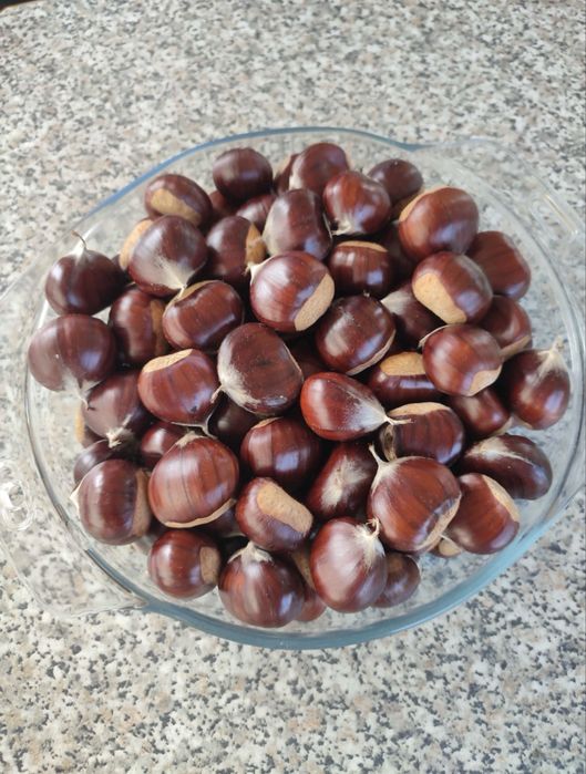 Vendo castanhas amarelal 2€/kg