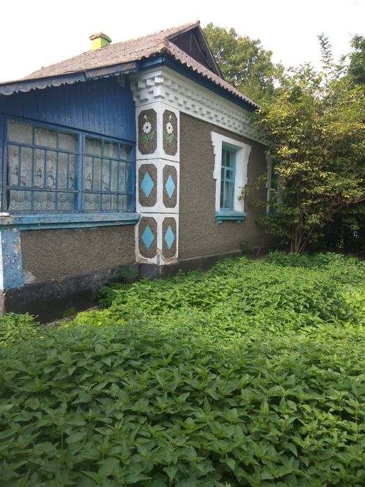 Продам будинок в мальовничому місці