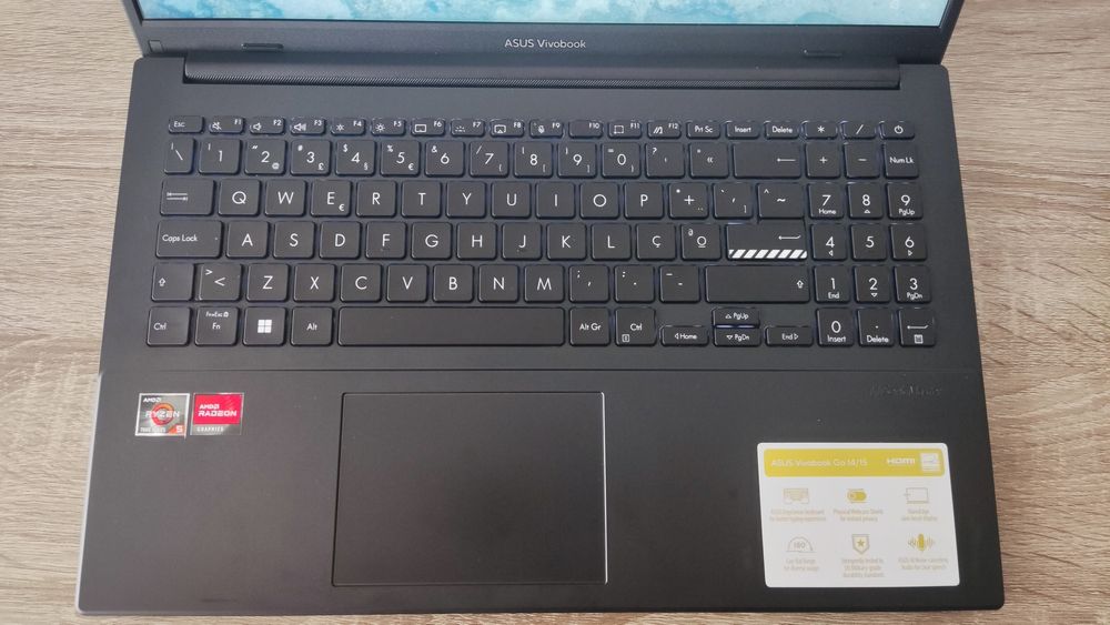 ASUS vivobook go RYZEN (novo)