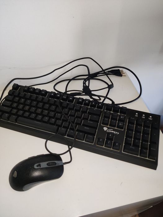 Zestaw gamingowy Genesis: klawiatura Thor 200 + mysz Krypton 190