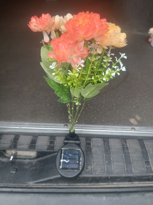 Solar Garden Light