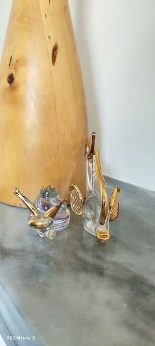 Peixe e caracol em vidro