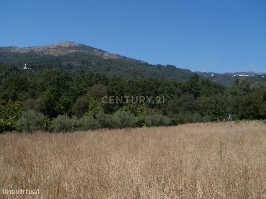 Terreno agricola em Tondela