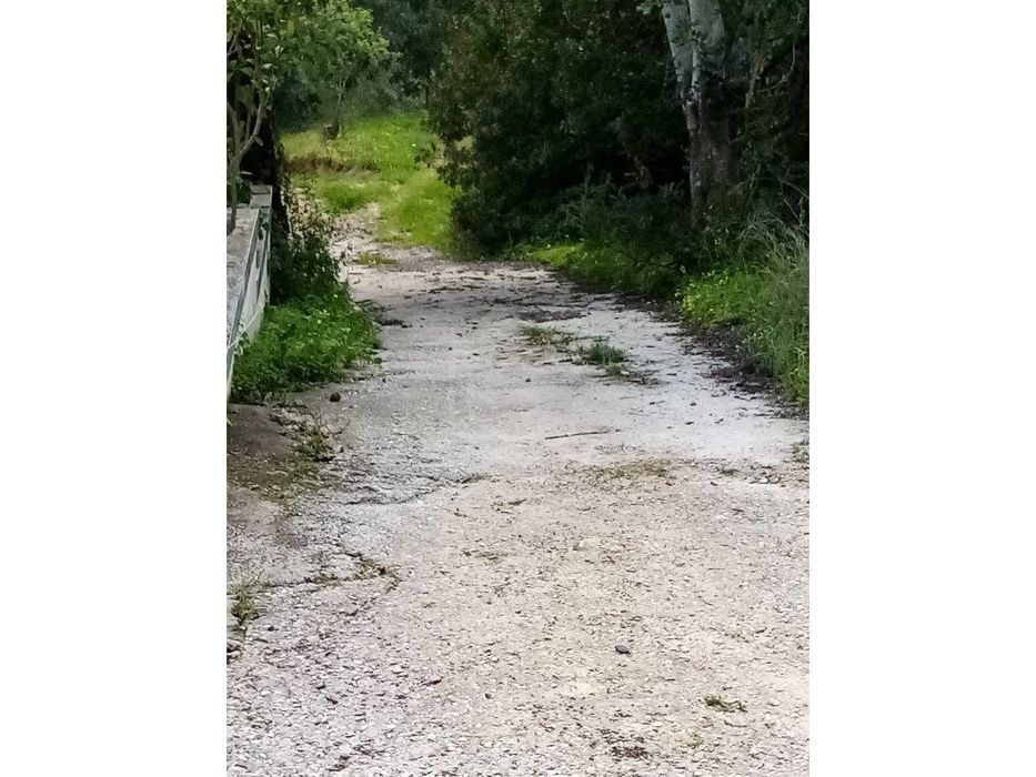 Terreno Rustico com 1394 m2, Loulé, Algarve