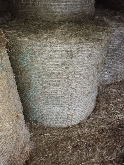 Sprzedam siano w balach