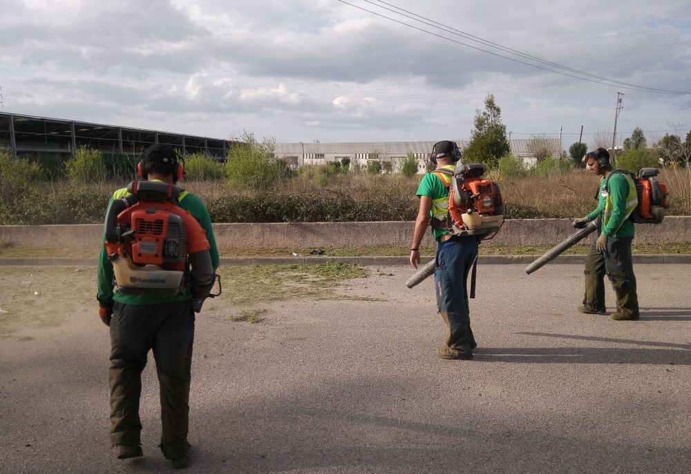 LIMPEZA de Terrenos e manutenção de espaços verdes
