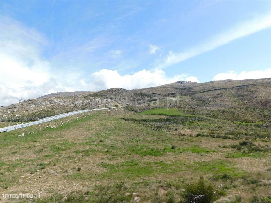 Terreno / Seia, Seia