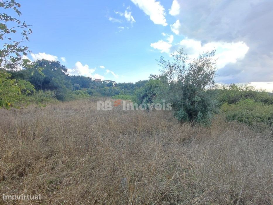 Terreno rústico com 1280m² - Ferreira do Zêzere