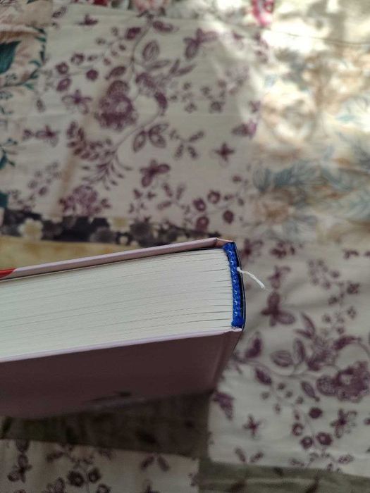 Дівчина Онлайн, книга 1, Зої Заґґ