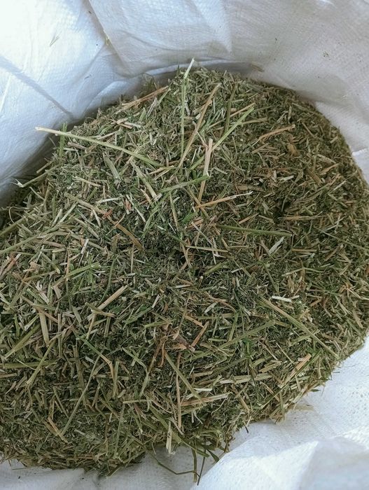 Sieczka z lucerny 10kg