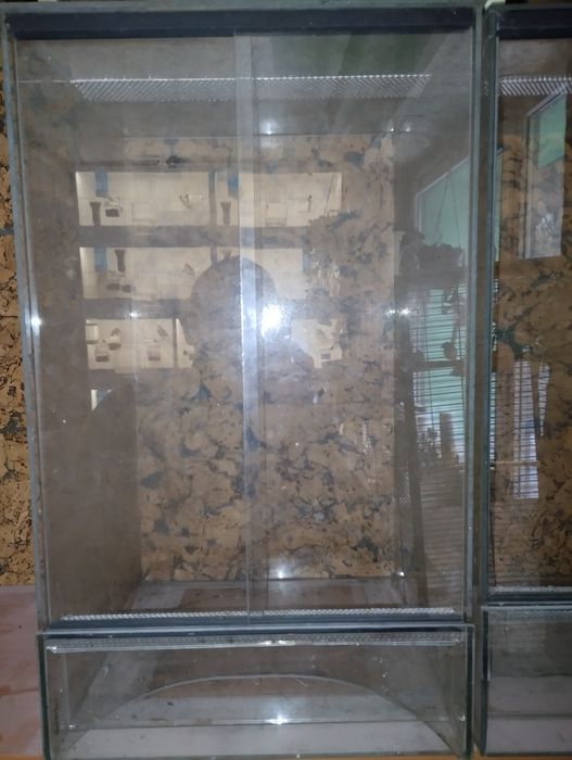 Terrarium pionowe 30x30x50