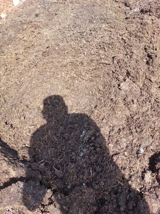 Obornik bydlęcy Obornik koński Nawóz naturalny