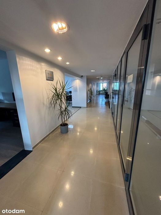 Biuro 250 m² w Katowicach | Całe Piętro na Wyłączność |Bez Pośredników