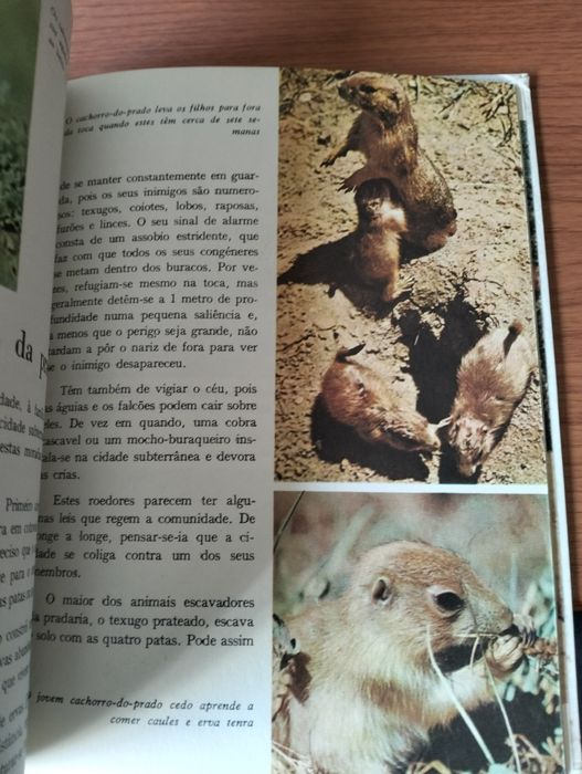 Livro Animais do Far-West