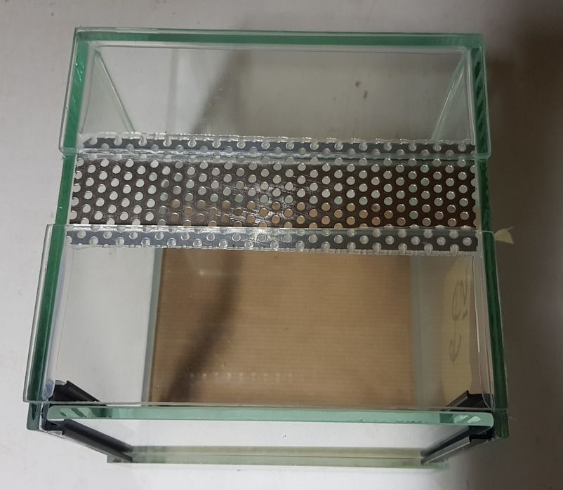 Terrarium dla pająka Gilotyna 20