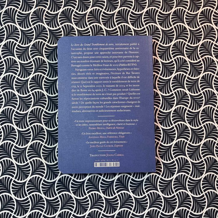 Le Petit Livre du Grand Tremblement de Terre - Rui Tavares