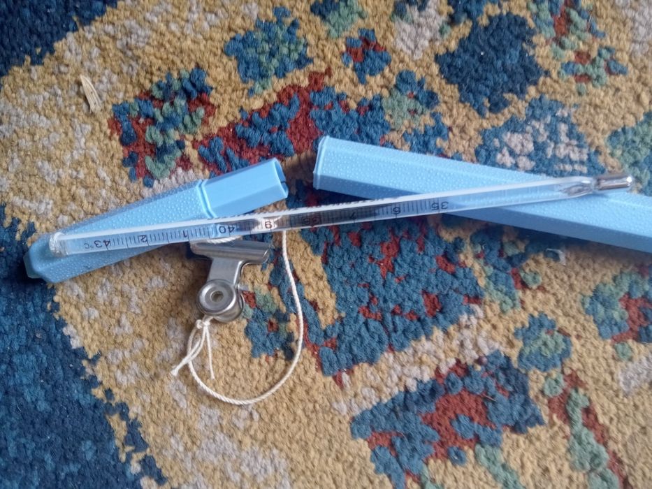 Retro vintage termometr weterynarii