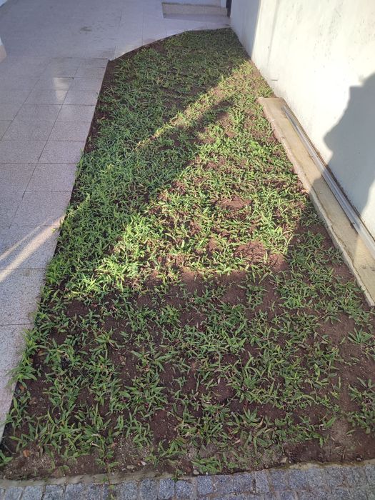 Serviço jardinagem