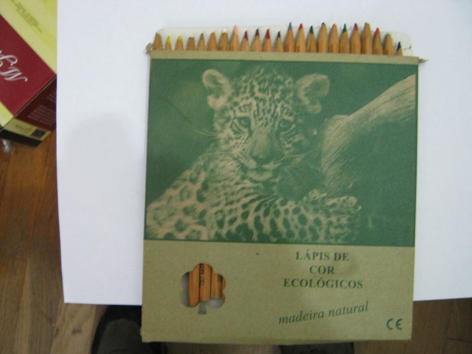 Caixa de Lápis de cor Ecológicos