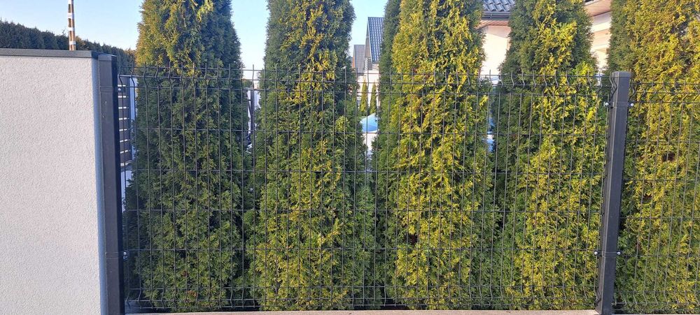 Kompletne Ogrodzenie Panelowe 3D.