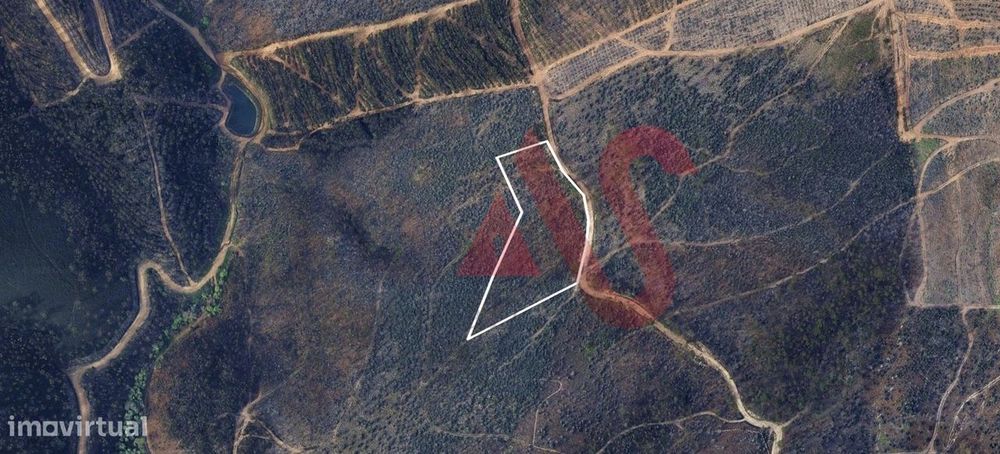 Terreno Florestal com 9400m2 em Silvares, Lousada