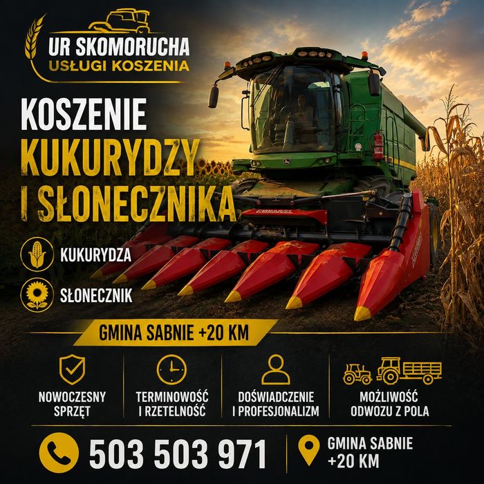 Koszenie kukurydzy i słonecznika na ziarno