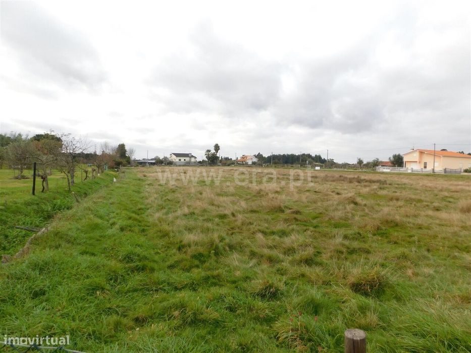 Terreno / Seia, Tourais e Lajes — Paranhos, Guarda